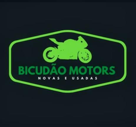 Bicudo Motors - Santa Brbara d'Oeste/SP